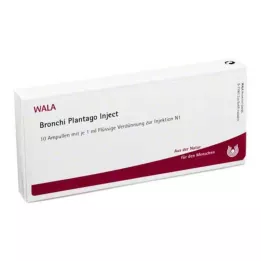 BRONCHI PLANTAGO Injicējiet ampulas, 10X1 ml