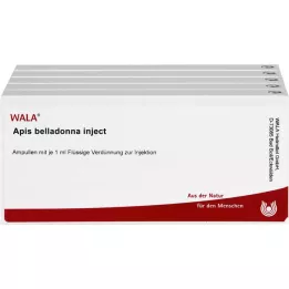 APIS BELLADONNA Injicējiet ampulas, 50X1 ml
