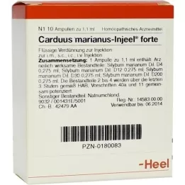 CARDUUS MARIANUS INJEEL forte ampulas, 10 gab