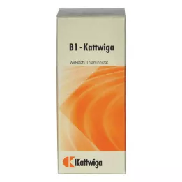 B1 KATTWIGA tabletes, 100 gab