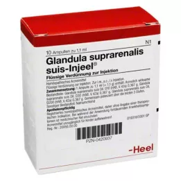 GLANDULA SUPRARENALIS suis Injeel ampulas, 10 gab