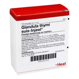 GLANDULA THYMI suis Injeel ampulas, 10 gab