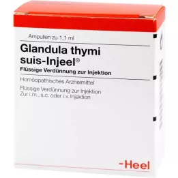 GLANDULA THYMI suis Injeel ampulas, 100 gab