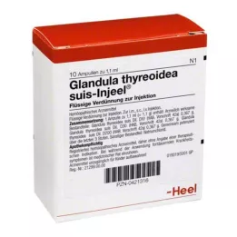 GLANDULA THYREOIDEA suis Injeel ampulas, 10 gab