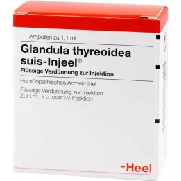 GLANDULA THYREOIDEA suis Injeel ampulas, 100 gab