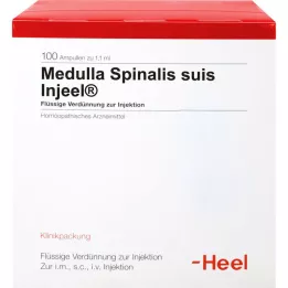 MEDULLA SPINALIS suis Injeel ampulas, 100 gab
