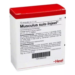 MUSCULUS SUIS Injeel ampulas, 10 gab