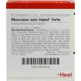 MUSCULUS SUIS Injeel forte ampulas, 10 gab