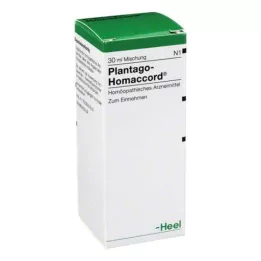 PLANTAGO HOMACCORD Pilieni, 30 ml