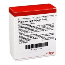 PROSTATA SUIS Injeel forte ampulas, 10 gab