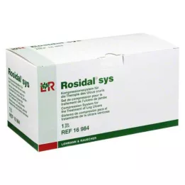 ROSIDAL sys, 1 gab