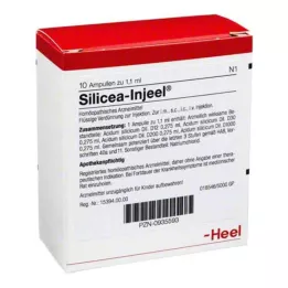 SILICEA INJEEL Ampulas, 10 gab