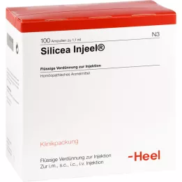 SILICEA INJEEL Ampulas, 100 gab