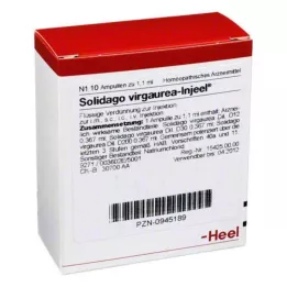 SOLIDAGO VIRGAUREA INJEEL Ampulas, 10 gab