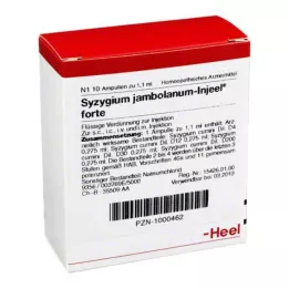 SYZYGIUM JAMBOLANUM INJEEL forte ampulas, 10 gab