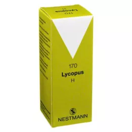 LYCOPUS H Nr.170 pilieni, 100 ml