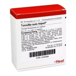 TONSILLA SUIS Injeel ampulas, 10 gab