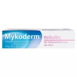 MYKODERM Ārstnieciskā ziede Nistatīns un cinka oksīds, 25 g