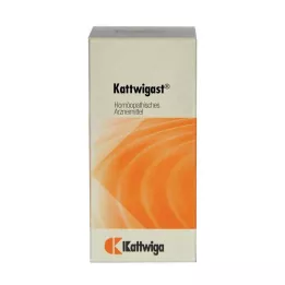KATTWIGAST Tabletes, 100 gab