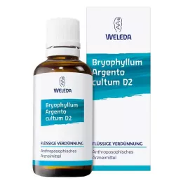 BRYOPHYLLUM ARGENTO cultum D 2 Atšķaidīšana, 50 ml