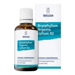 BRYOPHYLLUM ARGENTO cultum D 3 Atšķaidīšana, 50 ml
