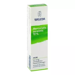 MERCURIALIS PERENNIS 10% ziede, 25 g