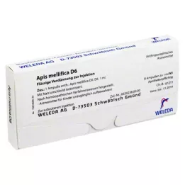 APIS MELLIFICA D 6 ampulas, 8 gab