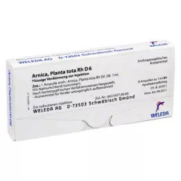 ARNICA PLANTA kopā Rh D 6 ampulas, 8X1 ml
