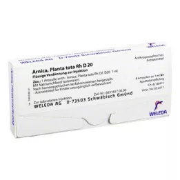 ARNICA PLANTA kopā Rh D 20 ampulas, 8X1 ml