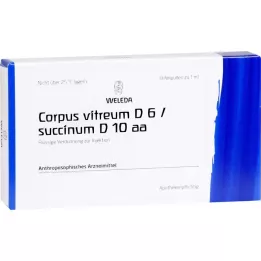 CORPUS VITREUM D 6/Succinum D 10 aa ampulas, 8 ml