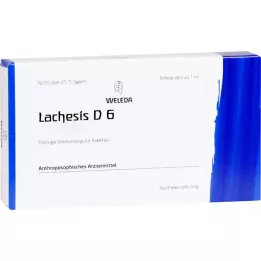 LACHESIS D 6 ampulas, 8X1 ml