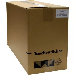 TASCHENTÜCHER Motif Vitamīni, 1 gab