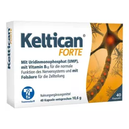 KELTICAN forte kapsulas, 40 gab