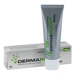 DERMAPLANT Ziede, 25 g