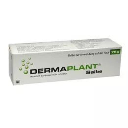 DERMAPLANT Ziede, 75 g