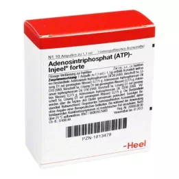 ATP Injeel forte ampulas, 10 gab