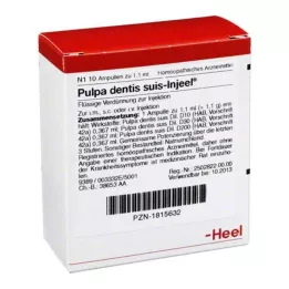 PULPA DENTIS SUIS Injeel ampulas, 10 gab