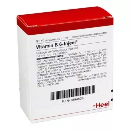 VITAMIN B6 INJEEL ampulas, 10 gab