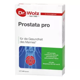 PROSTATA PRO Dr.Wolz kapsulas, 2X20 gab