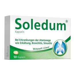 SOLEDUM 100 mg zarnās šķīstošās kapsulas, 50 gab