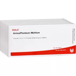 ARNICA/PLUMBUM /Mellitum ampulas, 50X1 ml