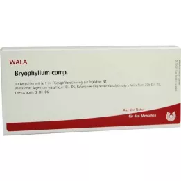 BRYOPHYLLUM COMP.Ampulas, 10X1 ml