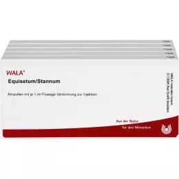 EQUISETUM/STANNUM Ampulas, 50X1 ml