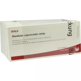 GLANDULAE SUPRARENALES kompozīcijas ampulas, 50X1 ml