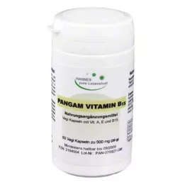 PANGAM B15 vitamīna kapsulas, 60 gab