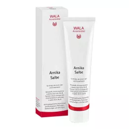 ARNIKA ZIEDE, 100 g