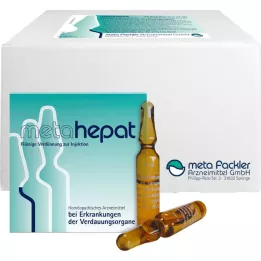 METAHEPAT Šķīdums injekcijām, 500X2 ml