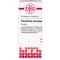 PHOSPHORUS AMORPHUS D 8 tabletes, 80 gab