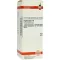 HYPERICUM D 6 Atšķaidījums, 50 ml