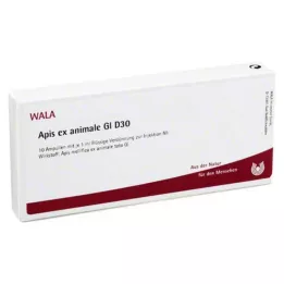APIS EX animale GL D 30 ampulas, 10X1 ml
